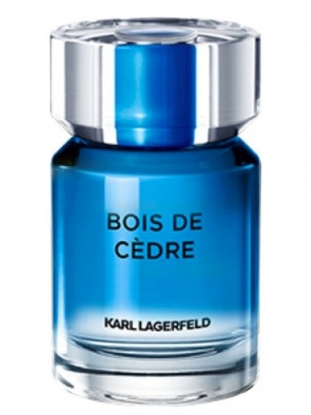 Karl Lagerfeld Bois de Cedre EDT 100 ml Erkek Parfümü kullananlar yorumlar